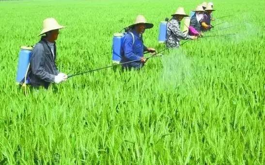 秋葵视频在线观看哪家好？不能只图价格便宜，否则得不偿失