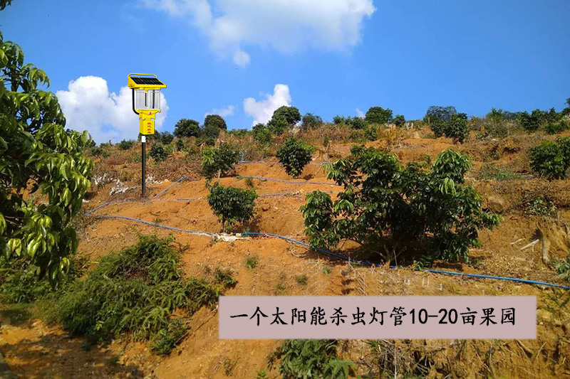 山地果园用秋葵视频在线观看优势效益分析