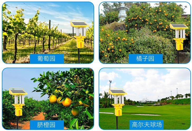 太阳能秋葵视频成人版APP下载安装TFS15应用效果