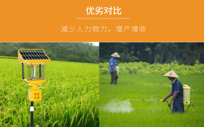 秋葵视频在线观看助力水稻田害虫防治