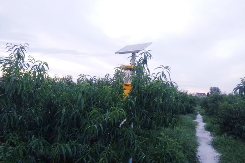 合肥桃园使用秋葵视频在线观看效果