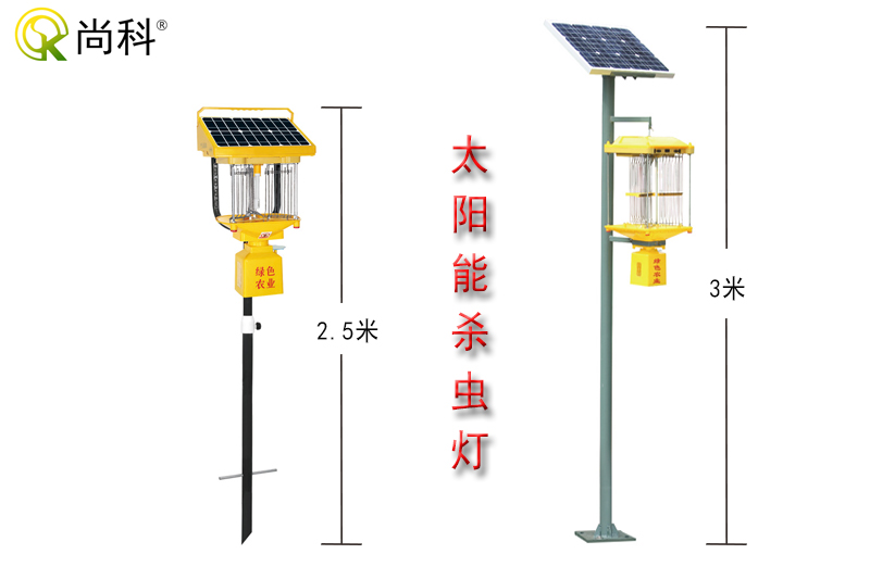 云南秋葵视频在线观看