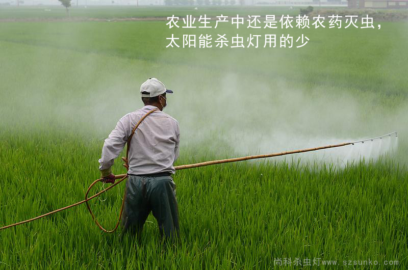 水稻使用农药灭虫，秋葵视频在线观看用的少