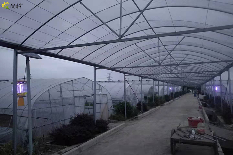 蔬菜种植基地秋葵视频在线观看